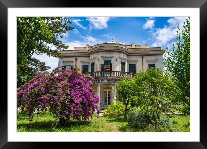 Villa Mon Repos, Island of Corfu, Greece Framed Mounted Print by Angus McComiskey