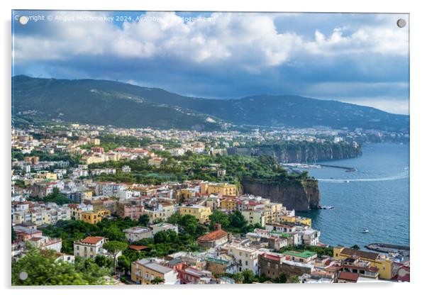 Sorrentine Peninsula and Bay of Naples, Italy Acrylic by Angus McComiskey