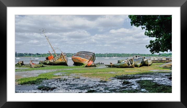 River Orwell Wrecks at Pin Mill  Framed Mounted Print by Diana Mower