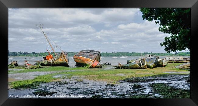 River Orwell Wrecks at Pin Mill  Framed Print by Diana Mower