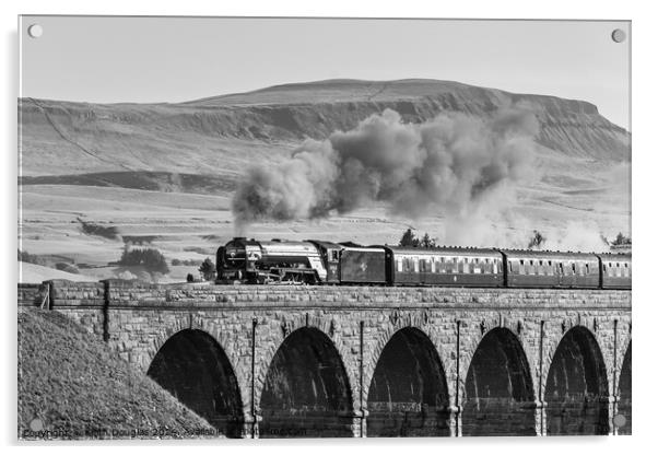 Tornado Steam Engine on the Ribblehead Viaduct (B/ Acrylic by Keith Douglas