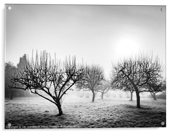 Frozen Orchard Acrylic by Ian Donaldson