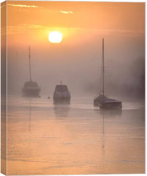 Misty Morning in Wareham Dorset  Canvas Print by Shaun Jacobs