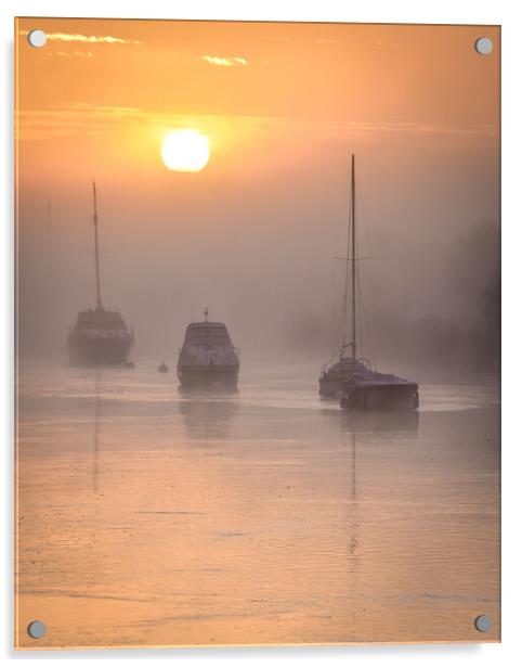 Misty Morning in Wareham Dorset  Acrylic by Shaun Jacobs