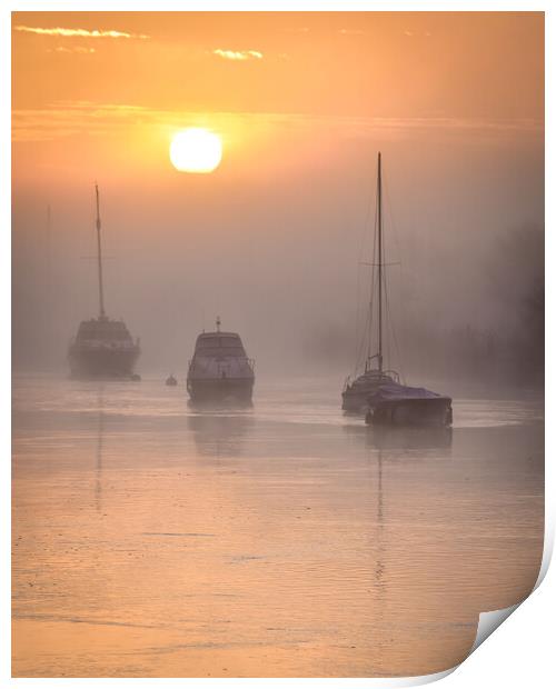 Misty Morning in Wareham Dorset  Print by Shaun Jacobs