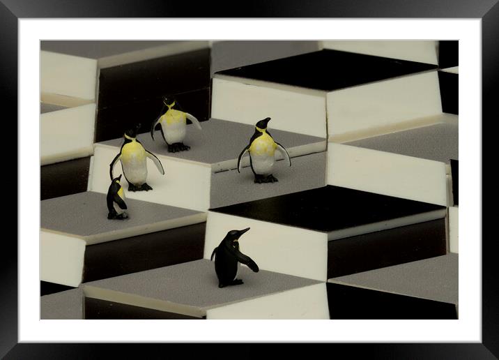 Penguins In An Illusion Framed Mounted Print by Steve Purnell