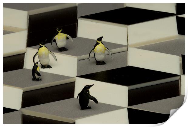 Penguins In An Illusion Print by Steve Purnell