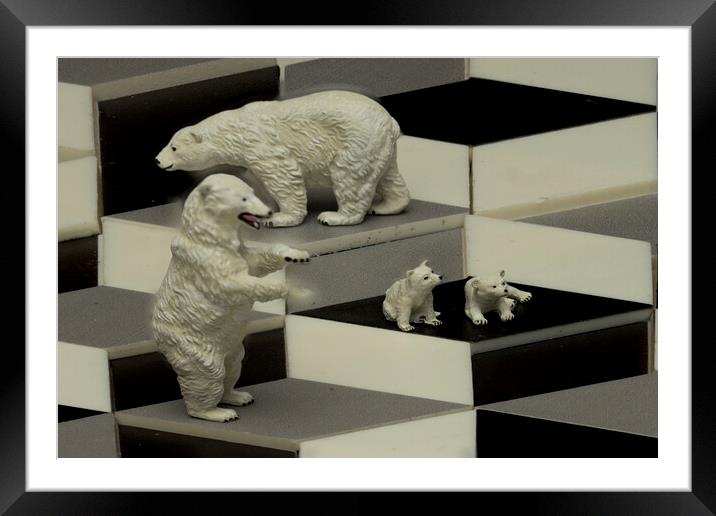 Polar Bears On The Cubes Framed Mounted Print by Steve Purnell