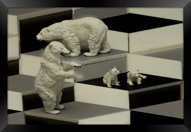 Polar Bears On The Cubes Framed Print by Steve Purnell