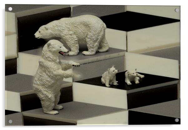 Polar Bears On The Cubes Acrylic by Steve Purnell