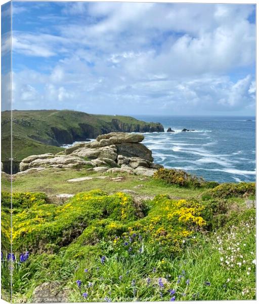 Lands End Canvas Print by Sheila Ramsey