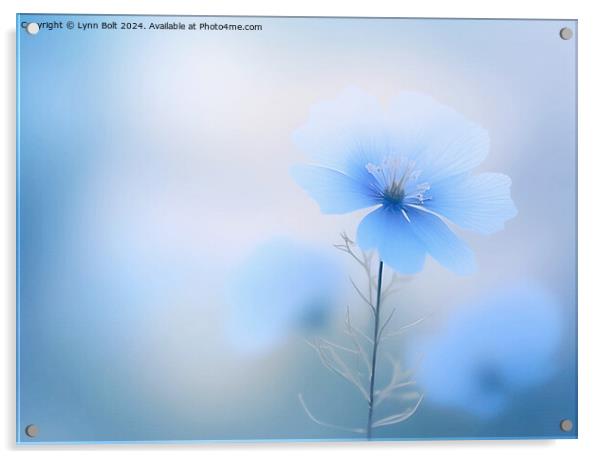 Blue Flower Acrylic by Lynn Bolt