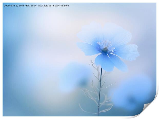 Blue Flower Print by Lynn Bolt