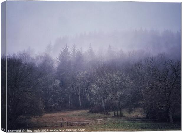 Misty forest Canvas Print by Philip Teale