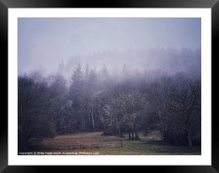 Misty forest Framed Mounted Print by Philip Teale