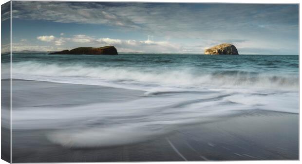 Bass Rock from Seacliff Beach Canvas Print by Anthony McGeever