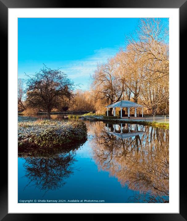Reflections in the Thames Framed Mounted Print by Sheila Ramsey