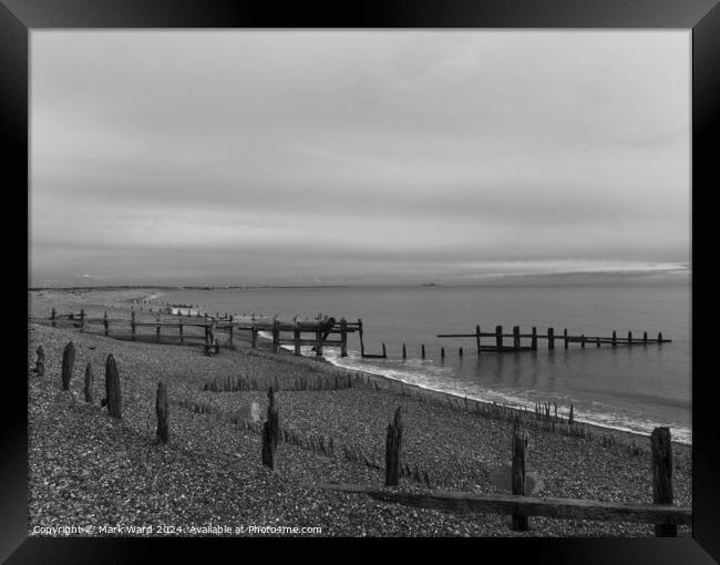 Timber and Tide Framed Print by Mark Ward