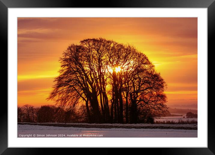  trres at sunrise Framed Mounted Print by Simon Johnson