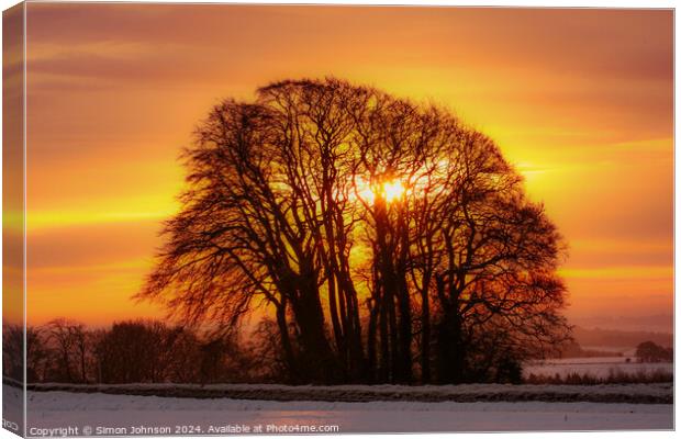 Tree silhouette at  sunrise Canvas Print by Simon Johnson