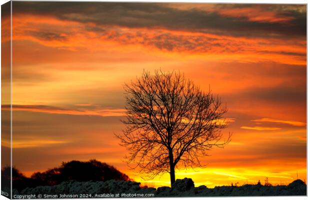  Tree silhouette at sunrise Canvas Print by Simon Johnson