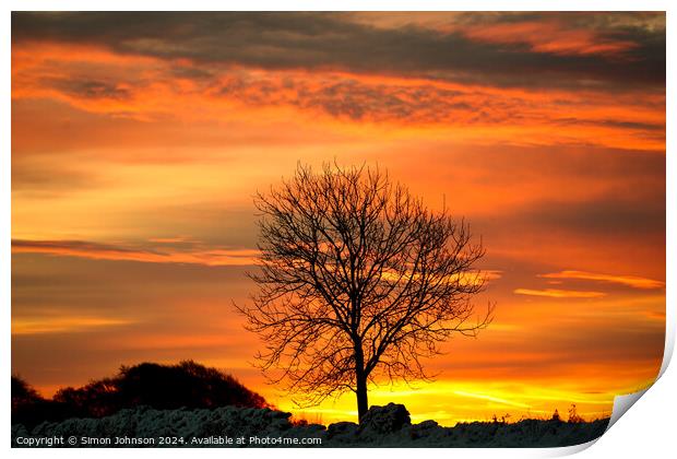  Tree silhouette at sunrise Print by Simon Johnson
