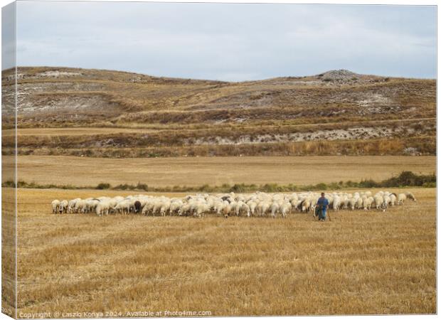 Shepherd with his flock - Rabe de las Calzadas Canvas Print by Laszlo Konya