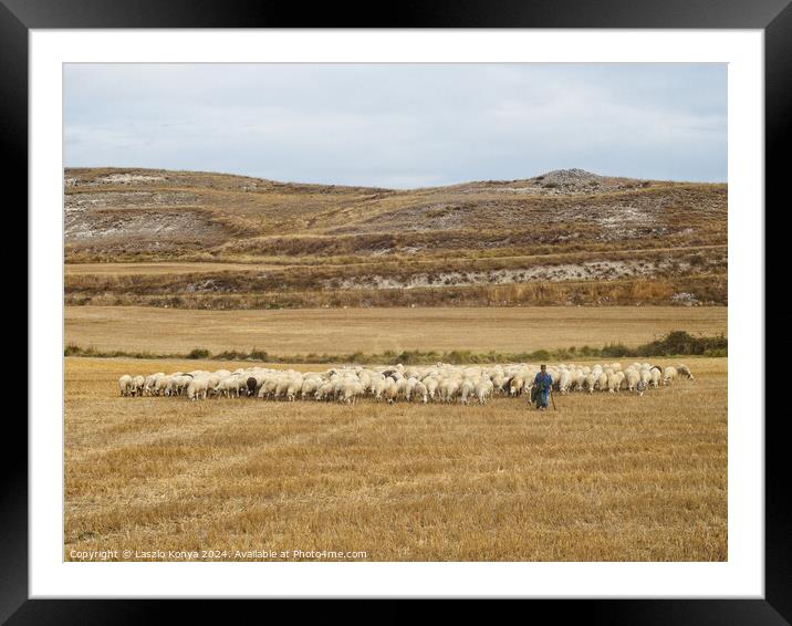 Shepherd with his flock - Rabe de las Calzadas Framed Mounted Print by Laszlo Konya
