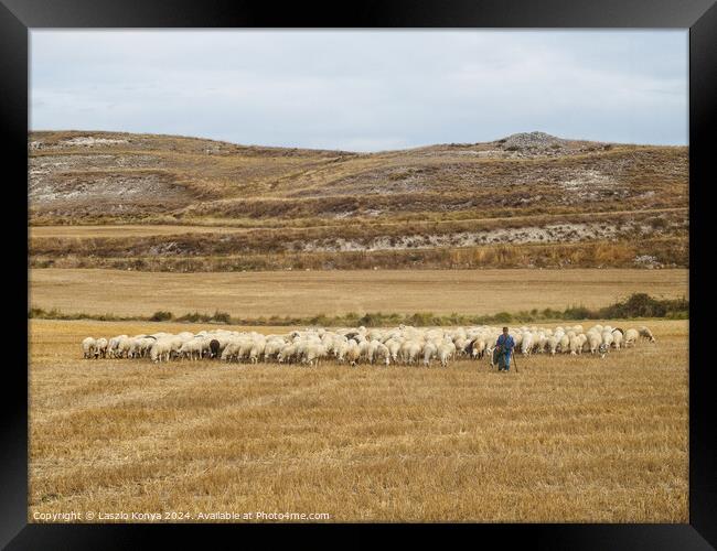 Shepherd with his flock - Rabe de las Calzadas Framed Print by Laszlo Konya