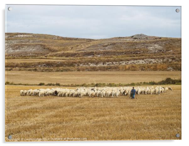 Shepherd with his flock - Rabe de las Calzadas Acrylic by Laszlo Konya