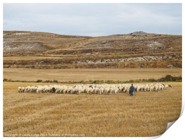 Shepherd with his flock - Rabe de las Calzadas Print by Laszlo Konya