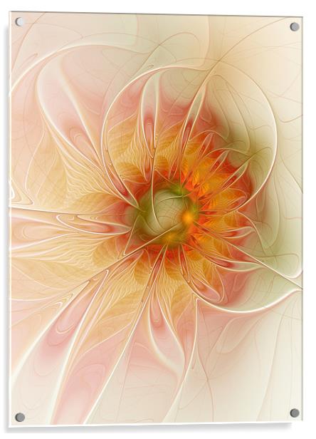 Peaches and Cream Acrylic by Amanda Moore