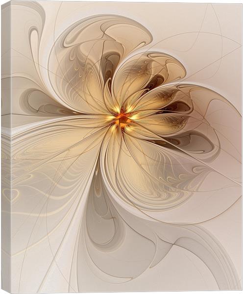 Nights in White Satin Canvas Print by Amanda Moore