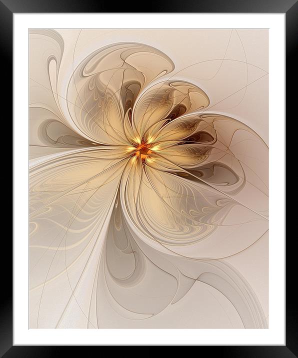 Nights in White Satin Framed Mounted Print by Amanda Moore