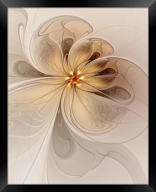 Nights in White Satin Framed Print by Amanda Moore