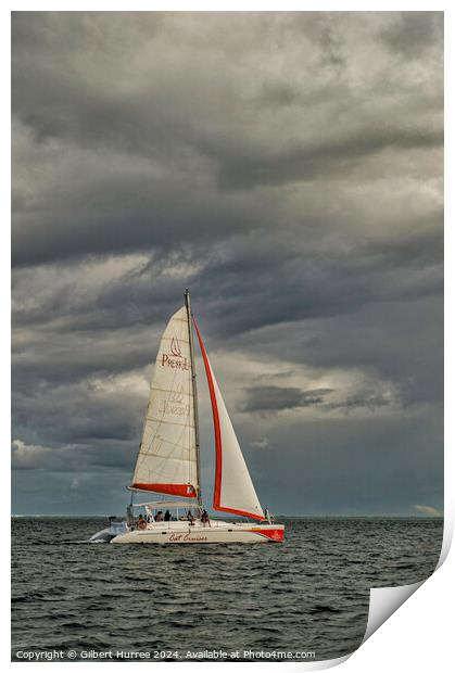Sailing in Mauritius Print by Gilbert Hurree