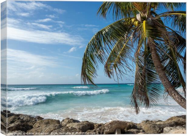 Palm Trees, Blue Skies and Waves in Barbados Canvas Print by Gillian Robertson