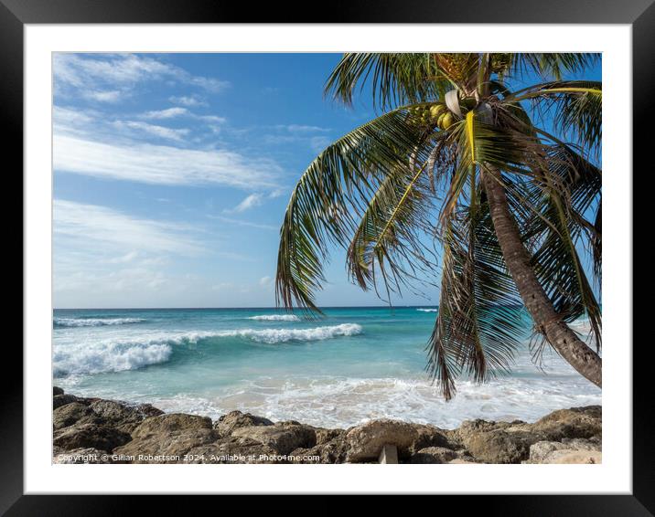 Palm Trees, Blue Skies and Waves in Barbados Framed Mounted Print by Gillian Robertson