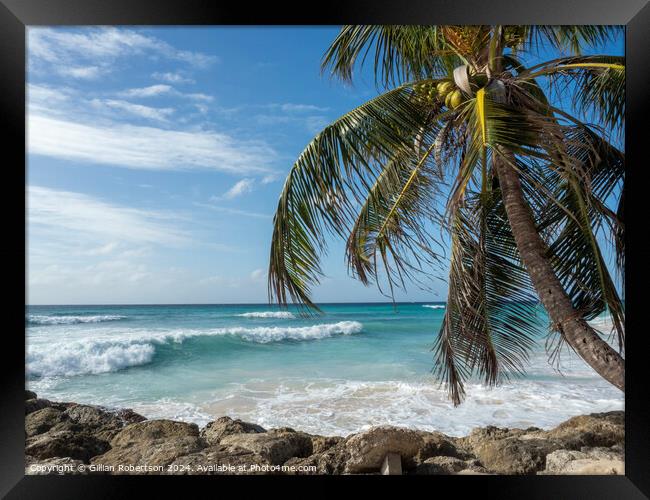 Palm Trees, Blue Skies and Waves in Barbados Framed Print by Gillian Robertson