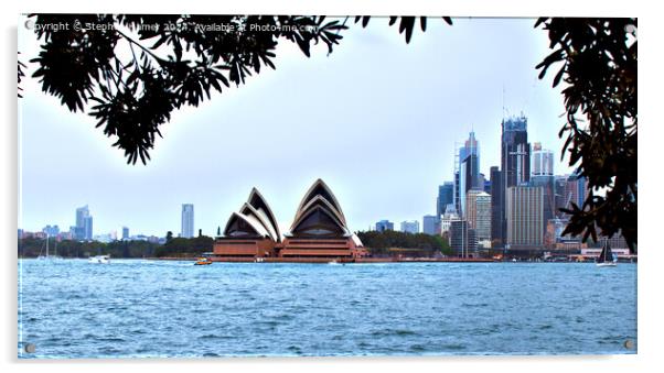 Opera House Sydney Acrylic by Stephen Hamer