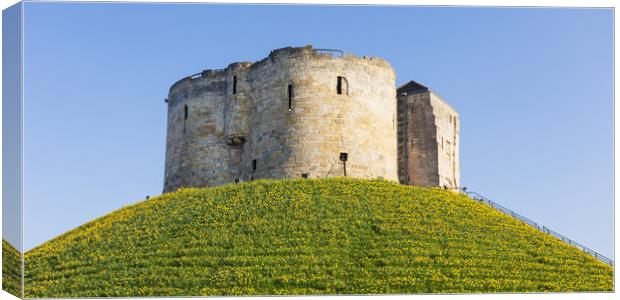 Clifford's Tower Daffodils Canvas Print by Stephen Read