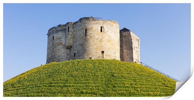 Clifford's Tower Daffodils Print by Stephen Read