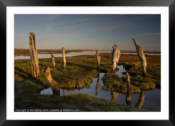 Weathered tree stumps at Thornham Framed Mounted Print by Paul Edney