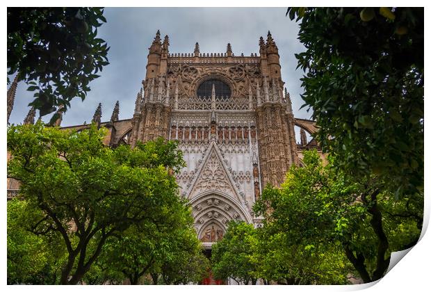 Seville Cathedral From Orange Trees Courtyard Print by Artur Bogacki
