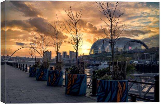 Newcastle Sunrise Canvas Print by Tim Hill