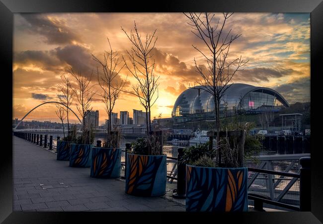 Newcastle Sunrise Framed Print by Tim Hill