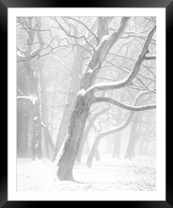 Snow, mist and trees Framed Mounted Print by Peter Zabulis
