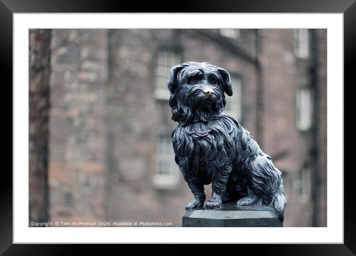 Greyfriars Bobby  Framed Mounted Print by Tom McPherson