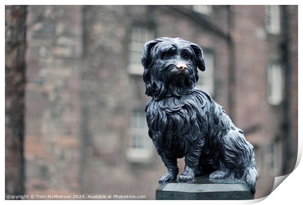 Greyfriars Bobby  Print by Tom McPherson