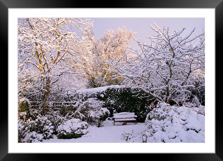 Garden in Snow Framed Mounted Print by Jacqi Elmslie